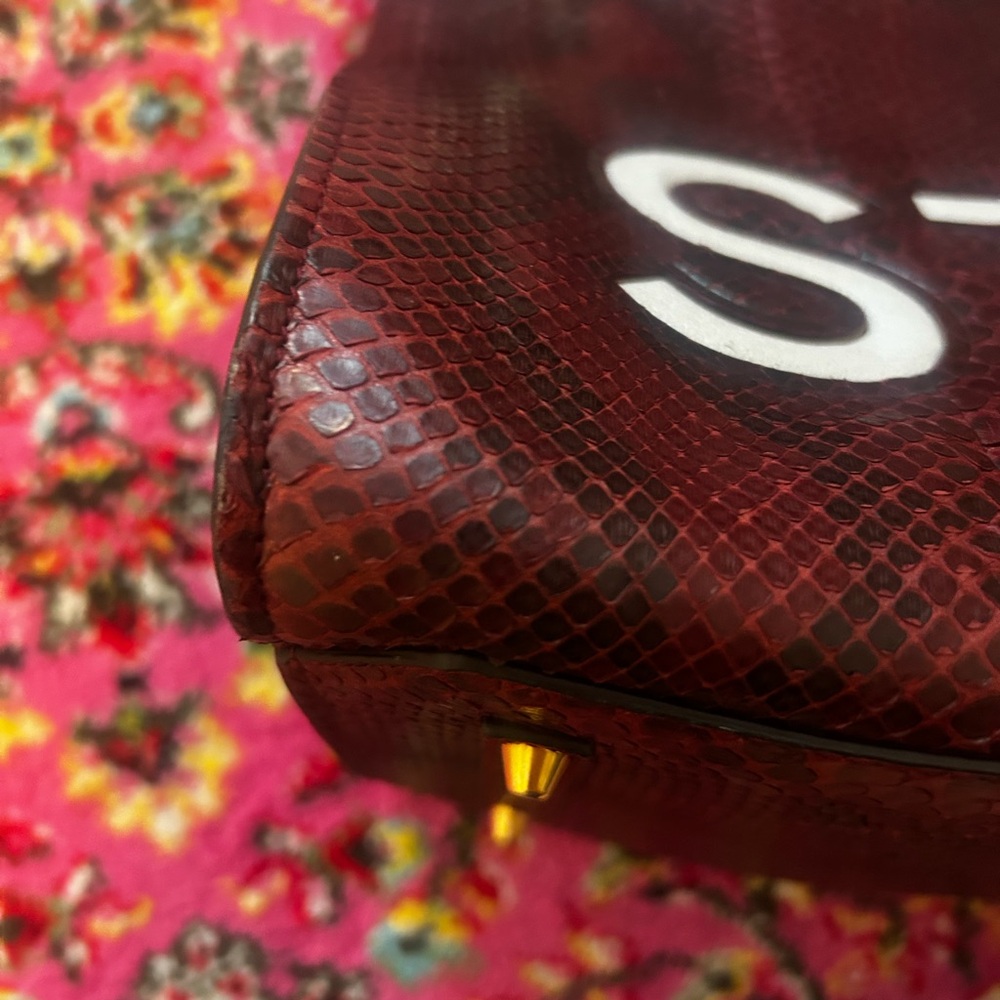 EUC Anya Hindmarch Python Ephson Leather Bag - Picture 7 of 8